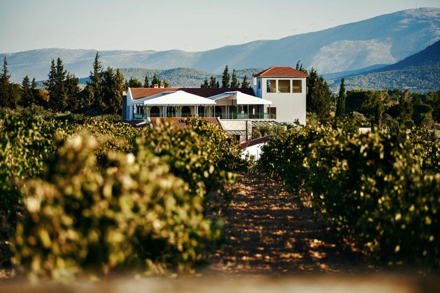 vineyards front the Chateau Kaniaris castle winery